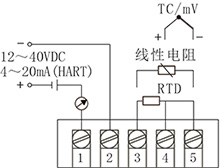 1513063162294337.jpg 未标题-12.jpg